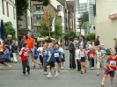 13.06.2004 - Michaelsberglauf