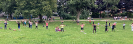 Sport im Park 2021